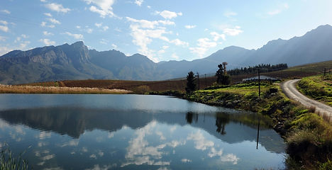 Manley Wine Estate