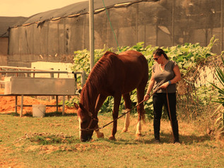 אימון גופני! לא רק לבני-אדם