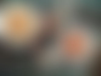 Review of Agrodolce in Charlotte Street