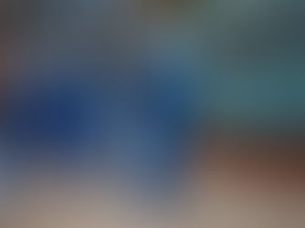 Fancy a sleepover at the Natural History Museum