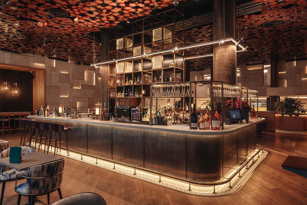 Review of Sycamore at Middle Eight in Covent Garden