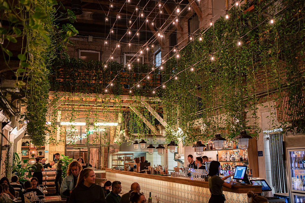 Review of Mazel-Tov in Budapest