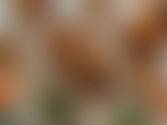 Where to eat for Mother’s Day in London