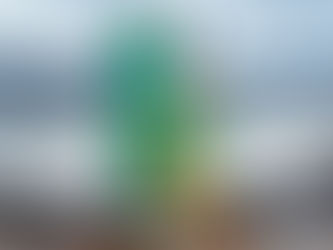 Give the spirit of Scotland this Christmas: Torabhaig Sound of Sleat Batch Strength