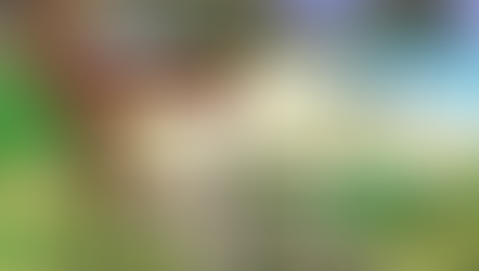 The Sims 2: Castaway - PS2