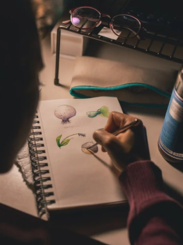 Drawing as Meditation: How Art Became My Daily Pause Button