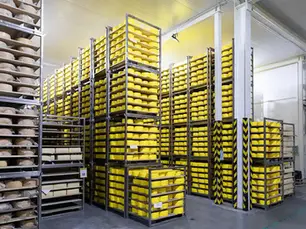 Large Industrial Cold Room