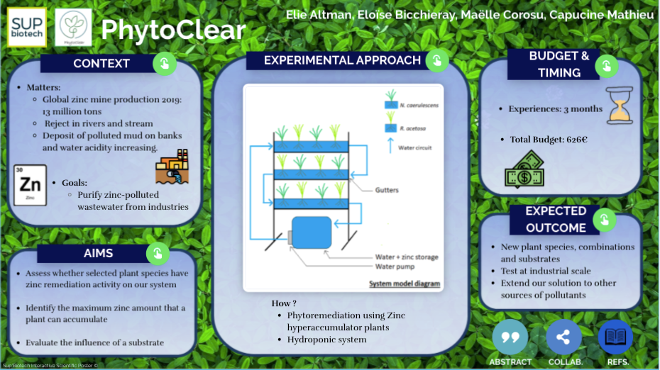 Phytoremediation