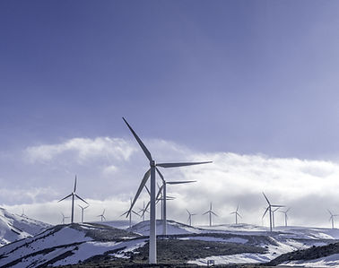 Renewable Energy Program
