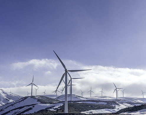 Renewable Energy Program