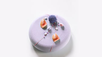 Festive Cake