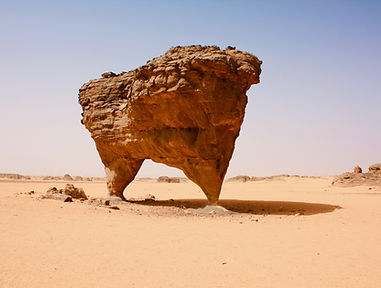 Organizational Design