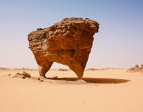 Desert Wildlife Conservation