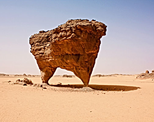 Desert Wildlife Conservation