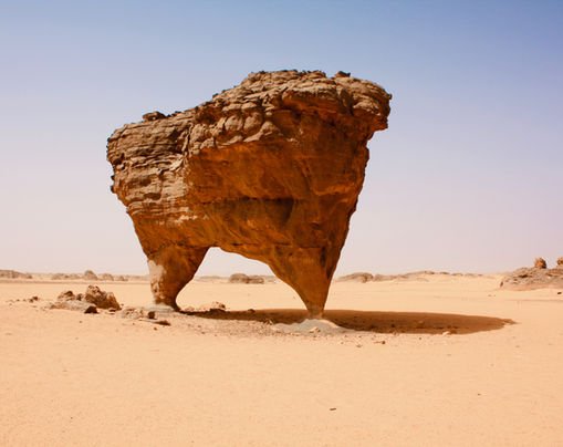 Desert Wildlife Conservation