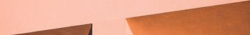 JAA_Primary Logo_Pink (1).png