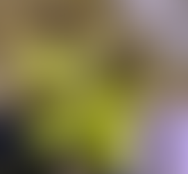 Tigre empata com ABC em Natal e continua na briga pela liderança