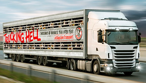 CWF_Truck_PR.jpg