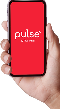 pulse mobile mock up_hand.png