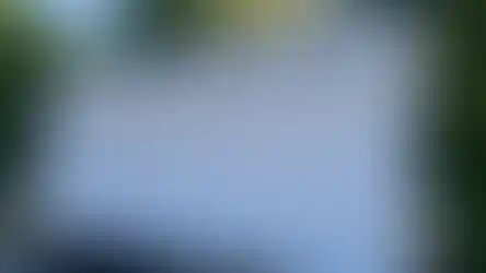 Vega Lieferung