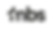 LOGO_MBS_NOIR (1)