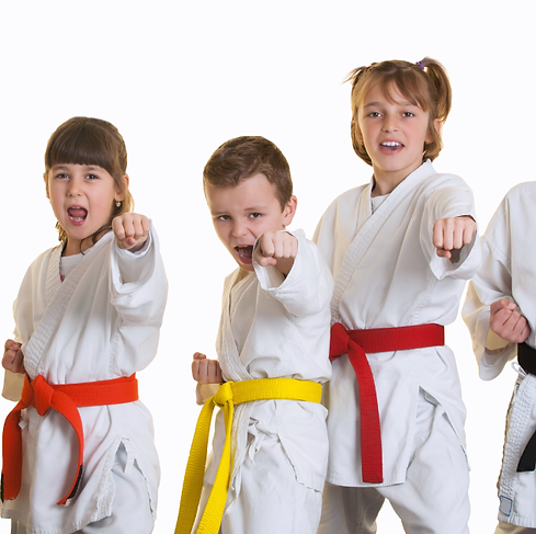 5-reasons-to-enroll-your-kid-in-martial-arts.png
