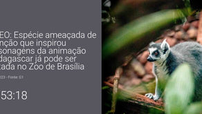 A TV Corporativa do Vindula está de cara nova: conheça o novo formato de exibição via RSS!