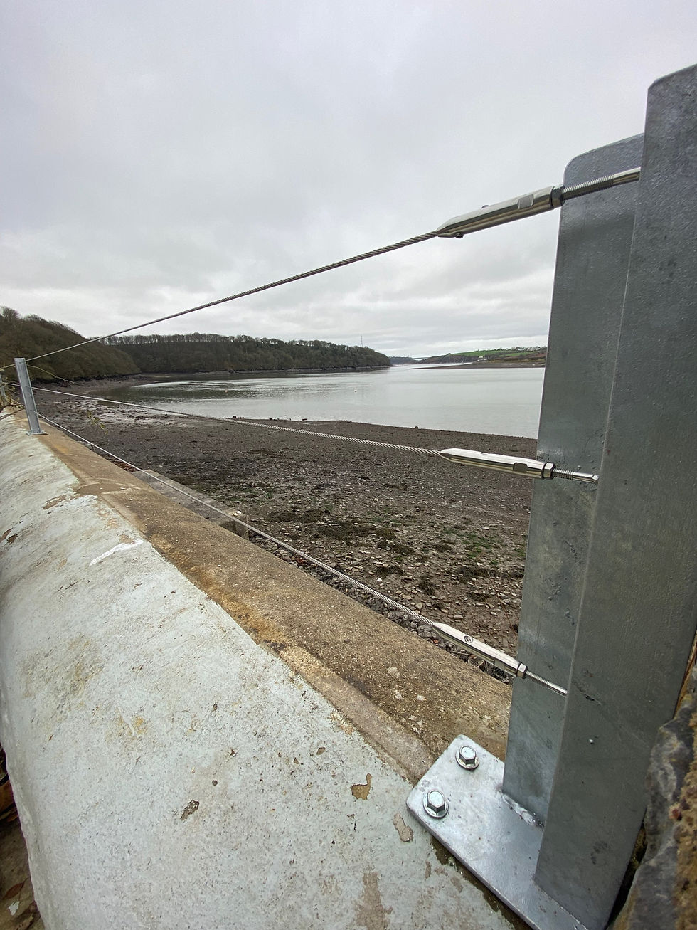 Thumbnail: Stainless Steel Wire Balustrade 