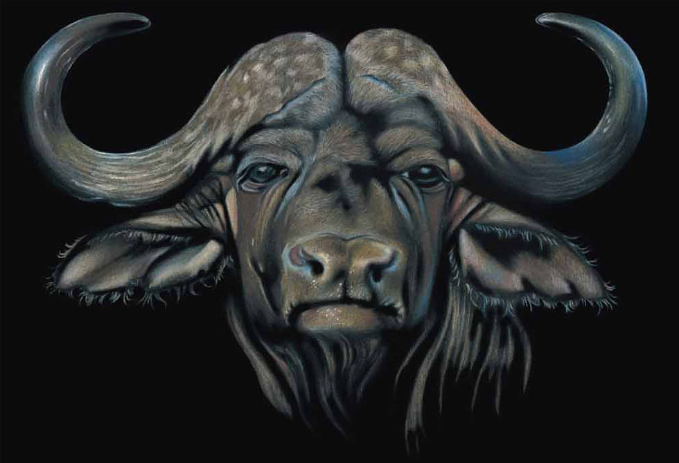 BUFFULO
