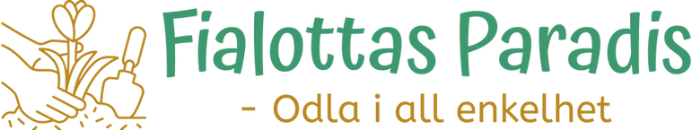 fialottas-paradis-high-resolution-logo-transparent (7).png