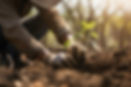 AdobeStock_586580209.jpeg