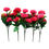 Thumbnail: Carnation Flower Bunch Rani Pack of 5