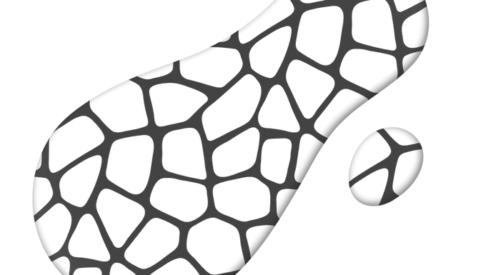 The Zimbabwe Partnership
