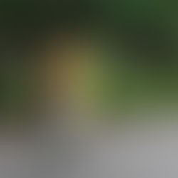 Was will ich wirklich?