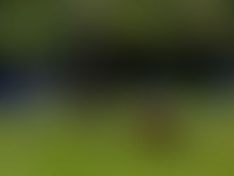 Jugend-Saisonstart beim FC Winnenden: Volles Programm für unsere Nachwuchsteams!