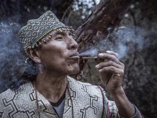 Shipibo Conibo Shaman smoking sacred Mapacho