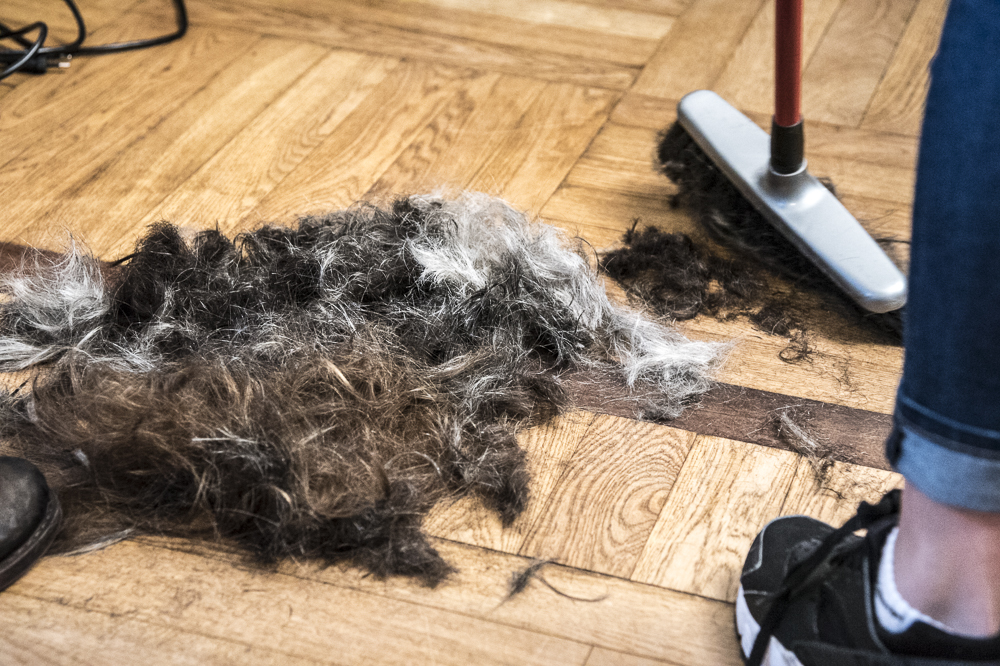 Barber Angels