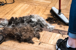 Barber Angels