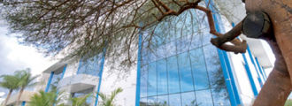 Roche-Jacarepaguá-RJ