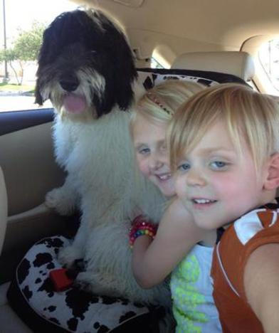 Doodle Rides