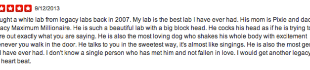 Love Our White Lab