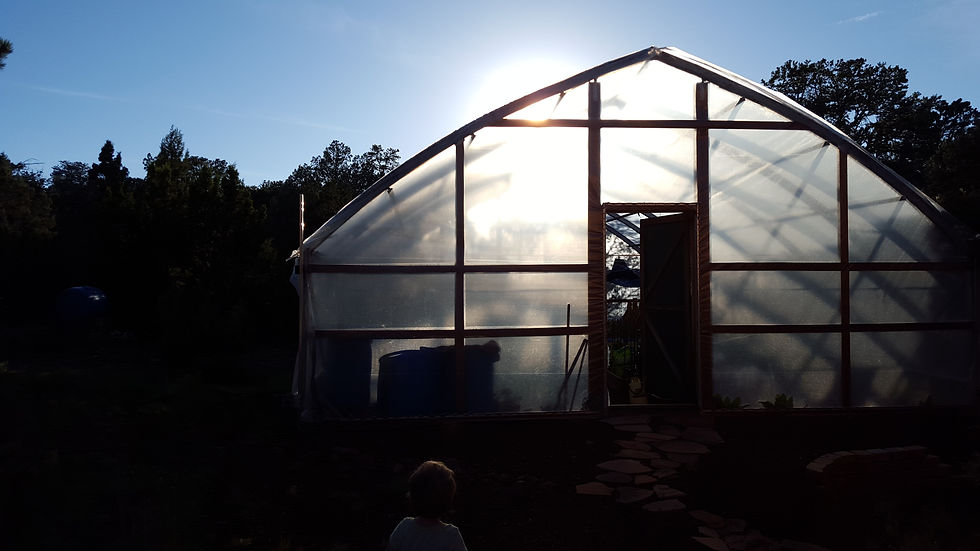 Our Greenhouse