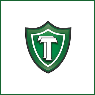TT-Multi-Services-logo2.png