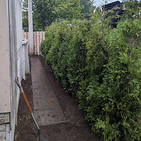 plantation-haies-tt.jpg