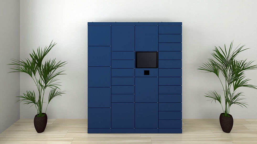 Wizualizacja smart lockera, który funkcjonuje u klienta.