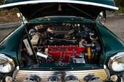 IMG_2134-Enhanced-NR