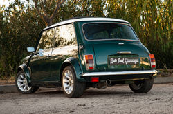 IMG_2186-Enhanced-NR