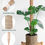Thumbnail: 2-Pack Extendable Moss Poles with Plant Ties & Jute String for Climbing Plants