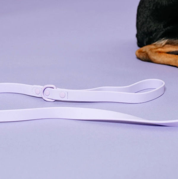 Thumbnail: Frenchie Waterproof Dog Leash – Violet, Durable & Easy-Clean (One Size)