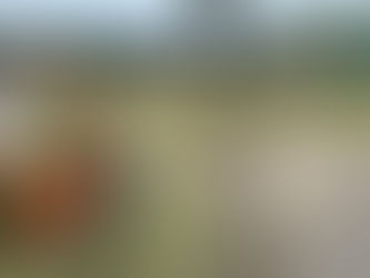 次回のマルシェは6月18日(日)!!